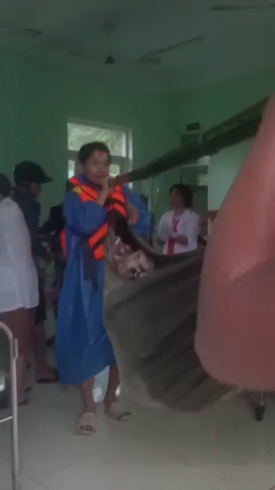 岘港山区5人因山体滑坡和树木倒塌受伤